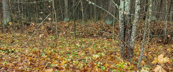 Similar image 22475624