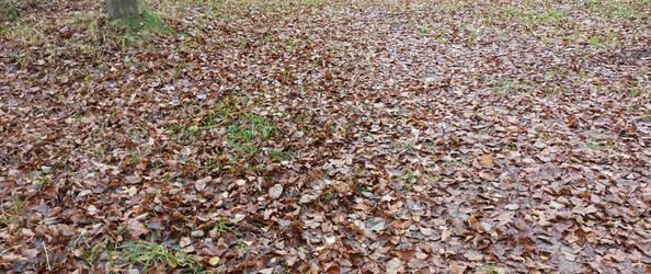 Similar image 22475625