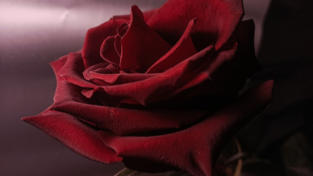 Similar image 22475626