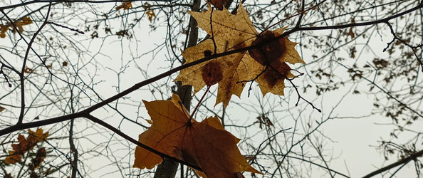 Similar image 22475631