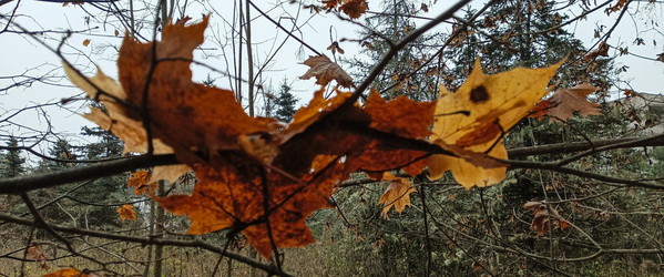 Similar image 22475635