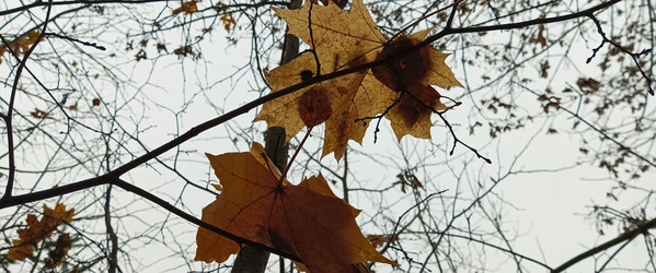 Similar image 22475639