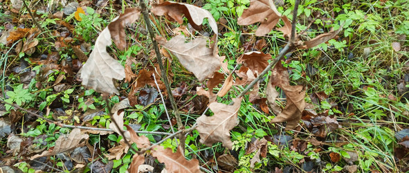 Similar image 22475641