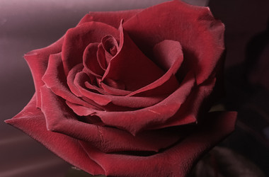 Similar image 22475594