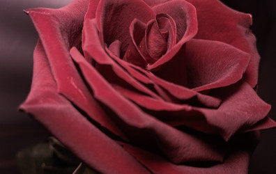 Similar image 22475595