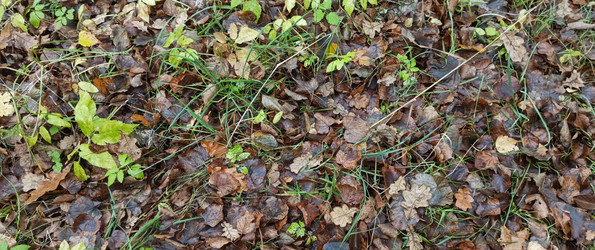 Similar image 22475596