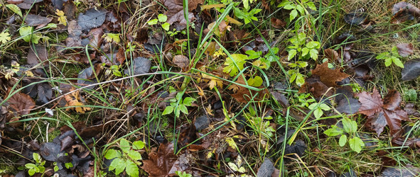 Similar image 22475597