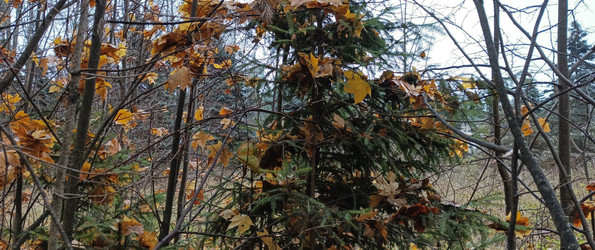 Similar image 22475605