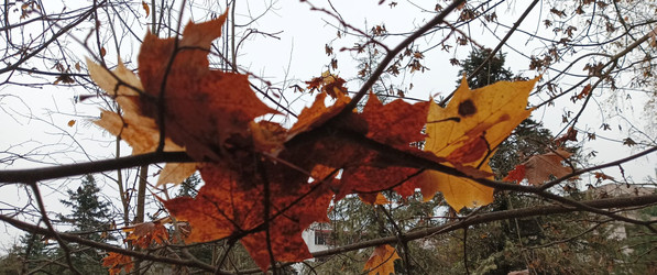 Similar image 22475606