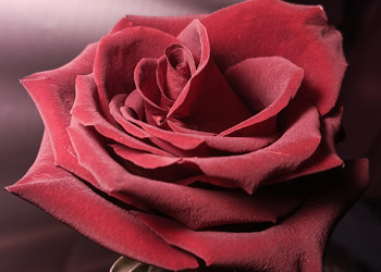 Similar image 22475620