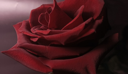 Similar image 22475648