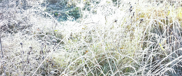 Similar image 22475649