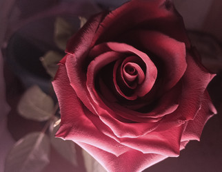 Similar image 22475651