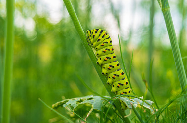 Similar image 22475399