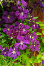 Similar image 22475400