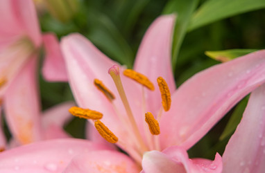 Similar image 22475401