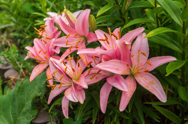 Similar image 22475404