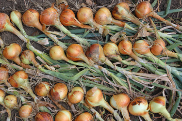 Similar image 22475467