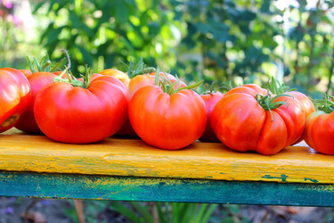 Similar image 22475469