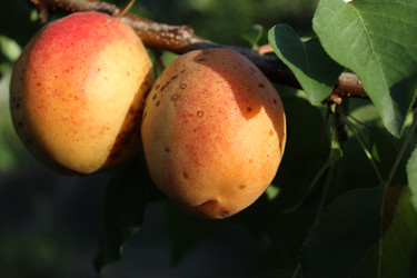 Similar image 22475471