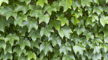 Similar image 22475234