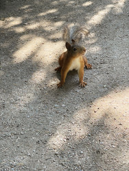 Similar image 22476343