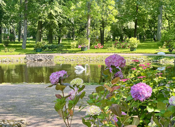 Similar image 22476370