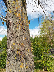 Similar image 22475262