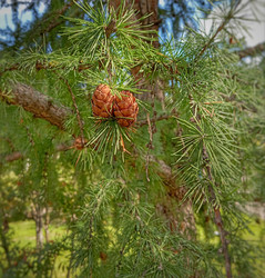 Similar image 22475264