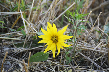 Similar image 22475418