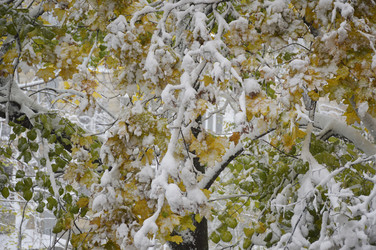 Similar image 22475423