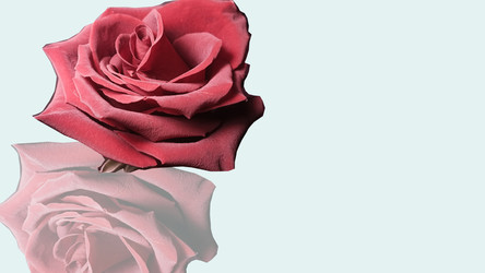 Similar image 22476186