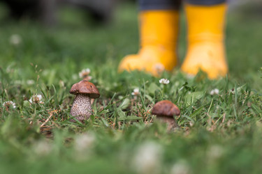 Similar image 22476642