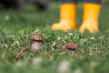 Similar image 22476643