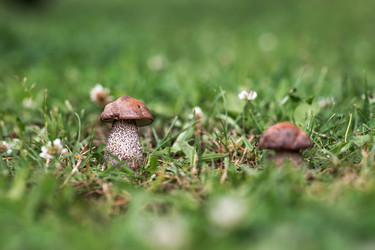 Similar image 22476644