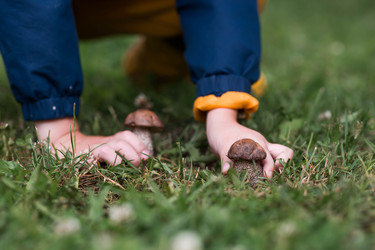 Similar image 22476645