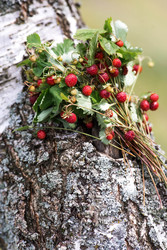 Similar image 22476648