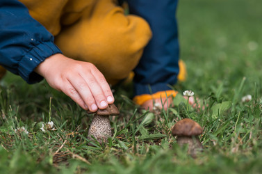 Similar image 22476649