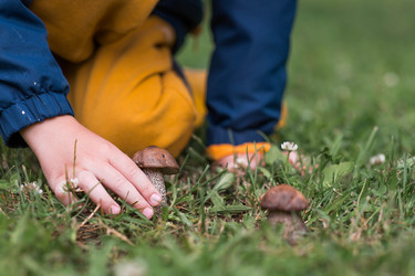 Similar image 22476650