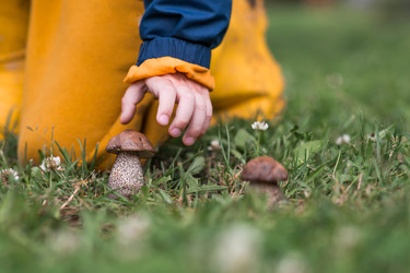 Similar image 22476659