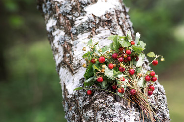 Similar image 22476662