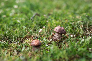 Similar image 22476663