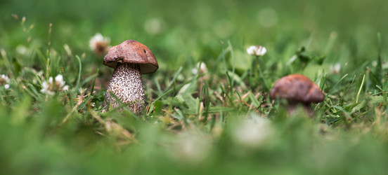 Similar image 22476675