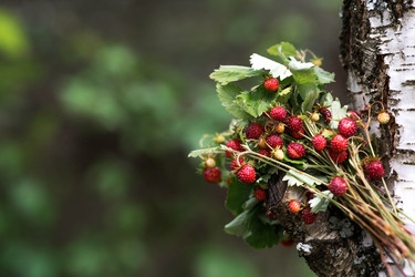 Similar image 22476678