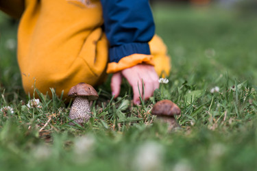 Similar image 22476680