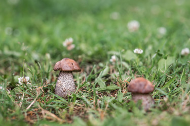 Similar image 22476691