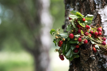 Similar image 22476695