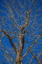 Similar image 22475251