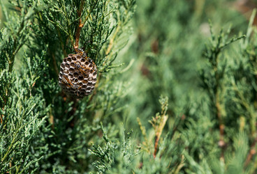 Similar image 22476581