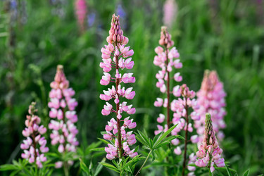 Similar image 22476582